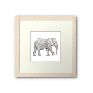 elephant framed print