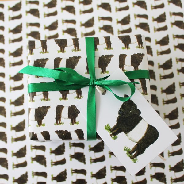Belted Galloway Gift wrap