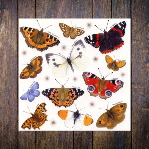 British Butterflies Greetings Card
