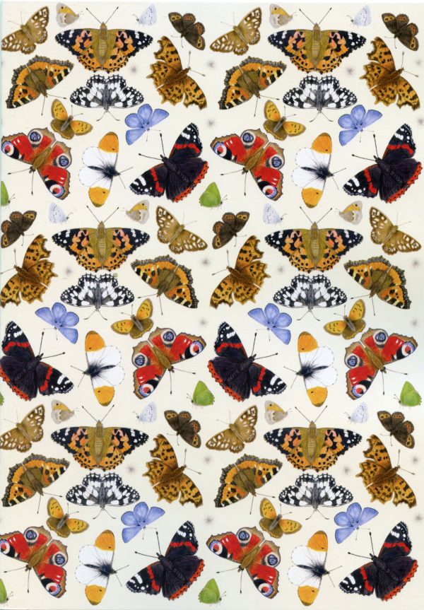 butterflies-A5-recycled-notebook