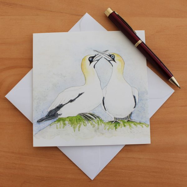 gannet greetings card