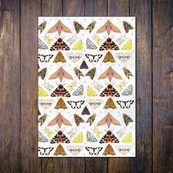 moths-A5-recycled-notebook
