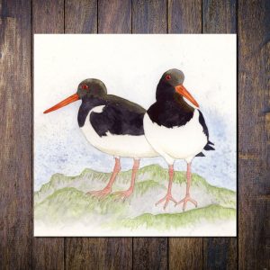 oystercatcher greetings card