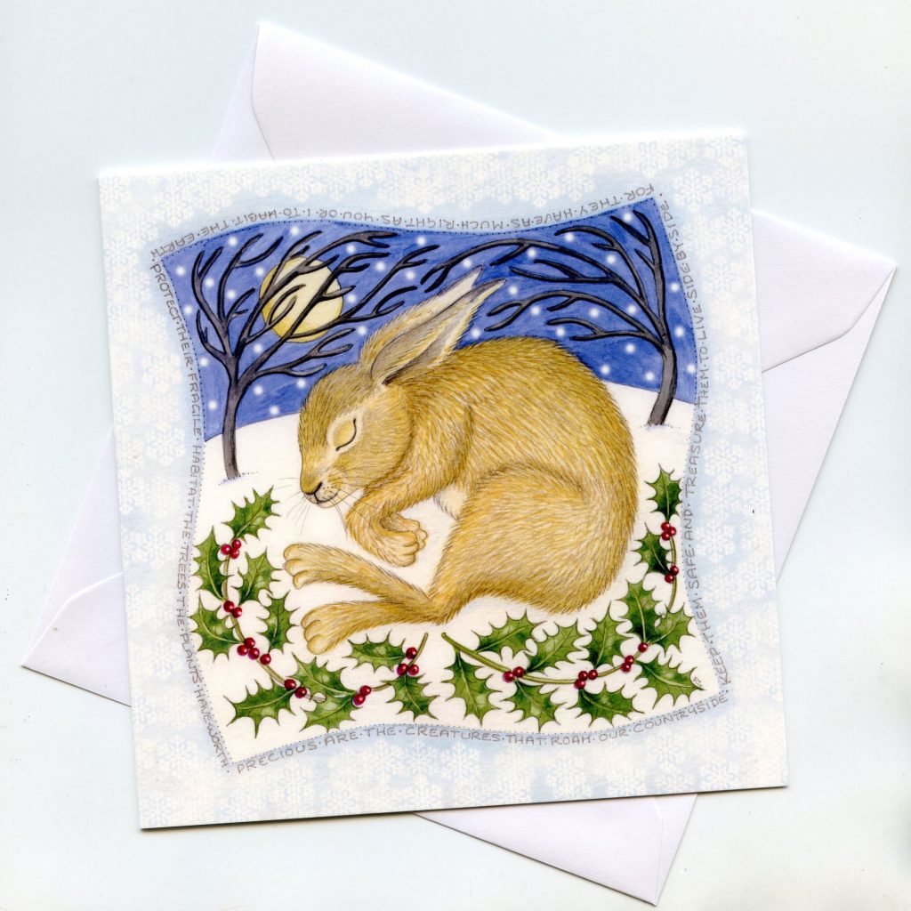 Snowy Brown Hare Non Religious Christmas Card