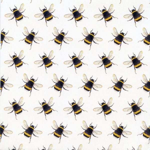 bumblebee notecard