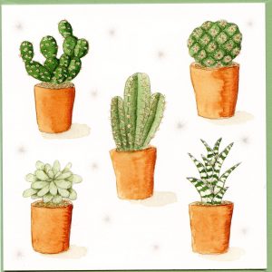 Cacti Greetings Card