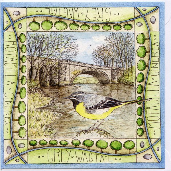 grey wagtail tongland bridge greetings card
