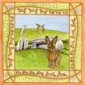 Hare cairn holy greetings card