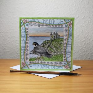 Peregrine Dunskey Castle Greetings Card