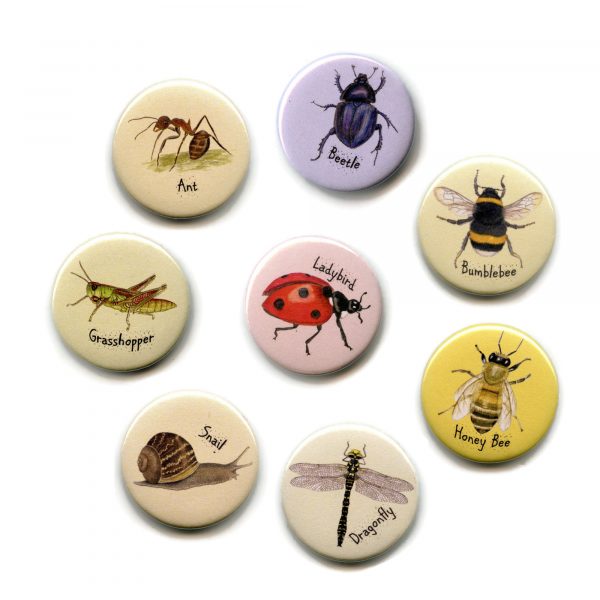Set-insect-magnets