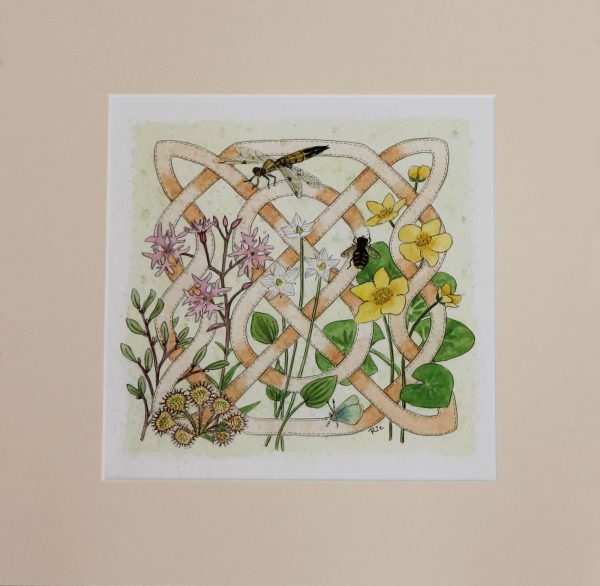 celtic flora bog mounted print