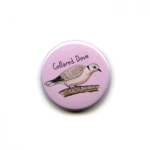 collared dove fridge magnet