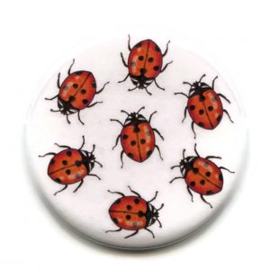 ladybird pocket mirror