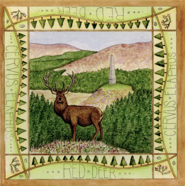Galloway Red Deer Range greetings card