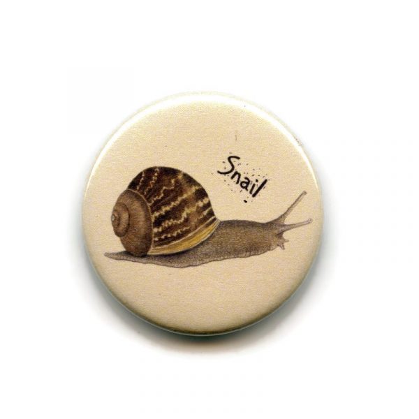 snail magnet