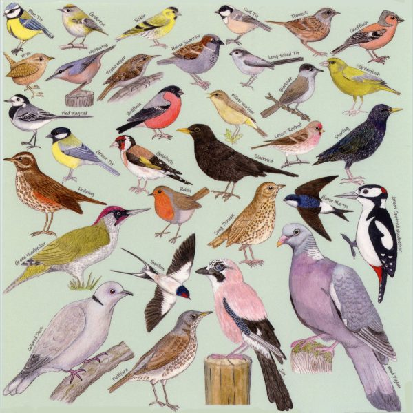 Garden-Birds-Card