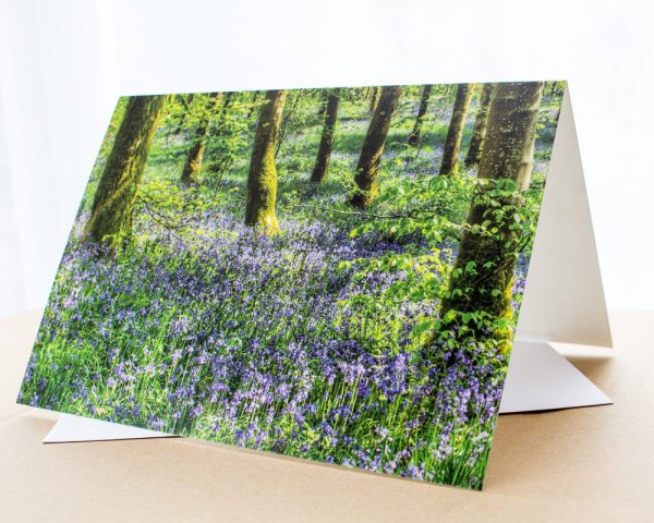 bluebell woods photo greetings card