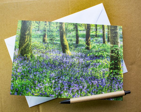 bluebell woods photo greetings card