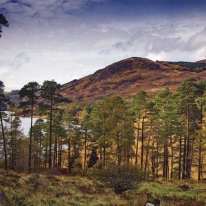 Glentrool-Galloway-Forest-Park-Photo-Card