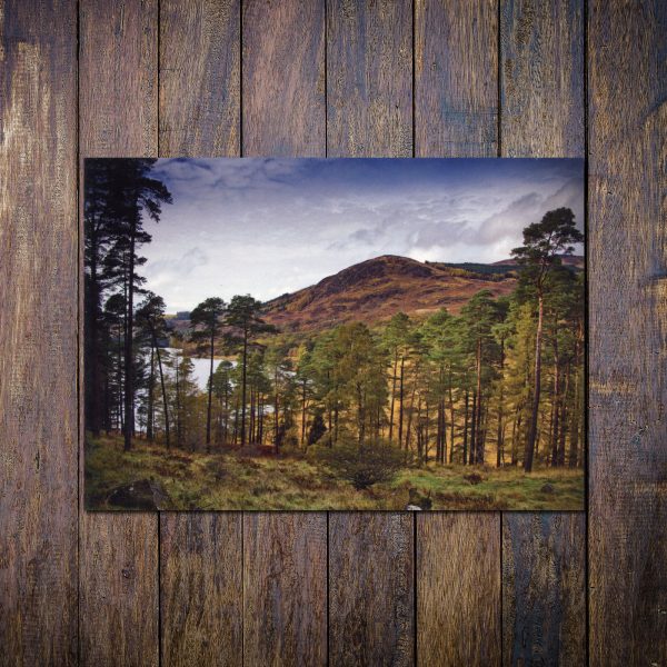 Glentrool-Galloway-Forest-Park-Photo-Card