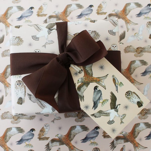 bird of prey gift wrap