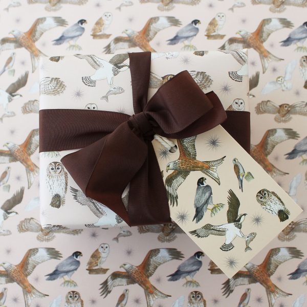 bird of prey gift wrap