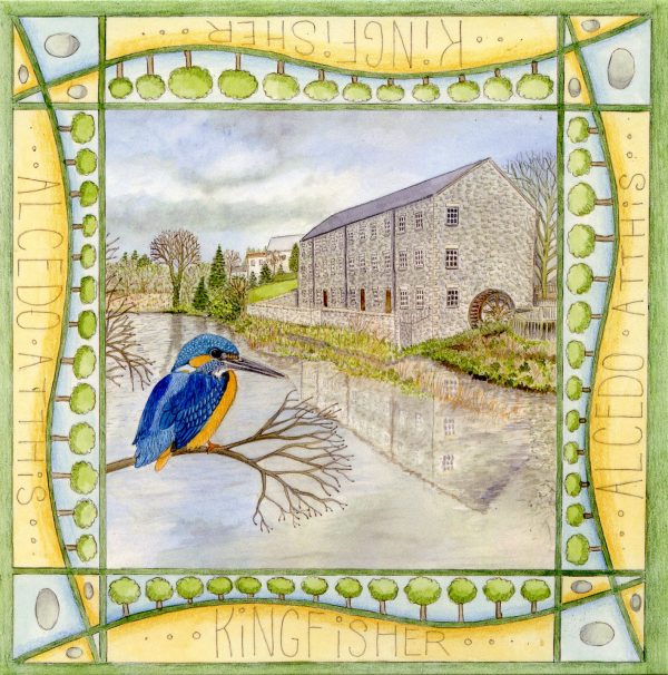 Kingfisher, Mill on the Fleet Blank Square Greetings Card