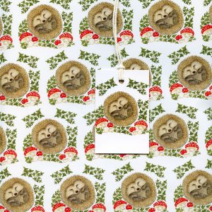 Christmas-hedgehog-wrap