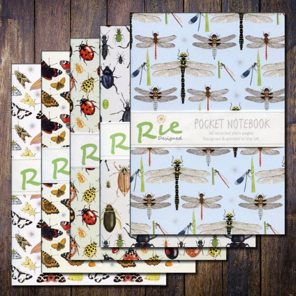 insect notebook pack