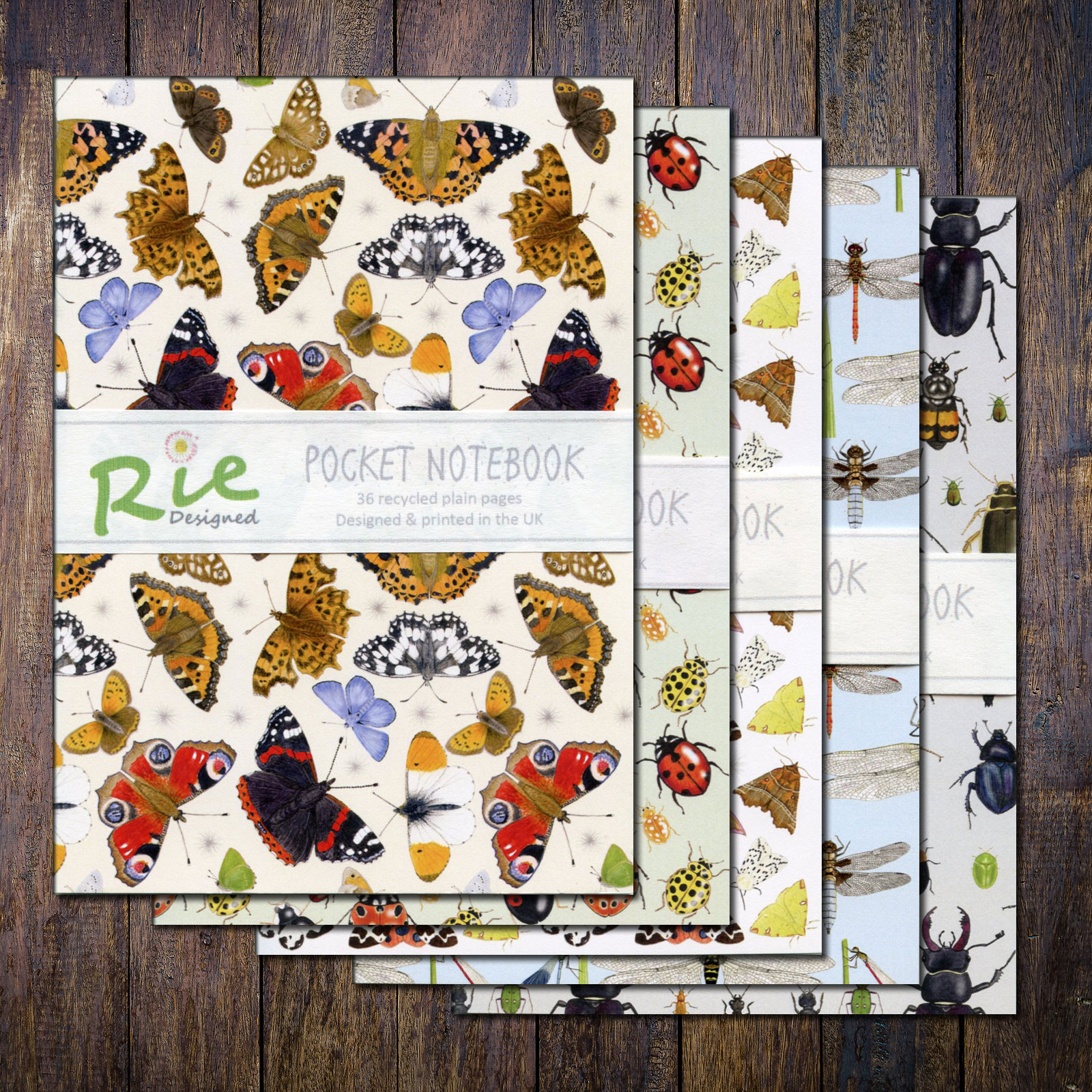 assorted-insects-pack-4
