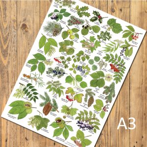 A3-Tree-Leaves-Poster