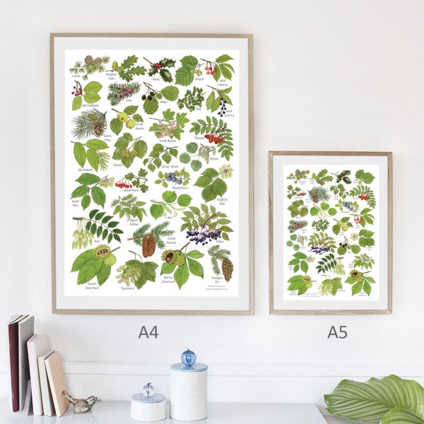 A4-Tree-Leaves-Poster