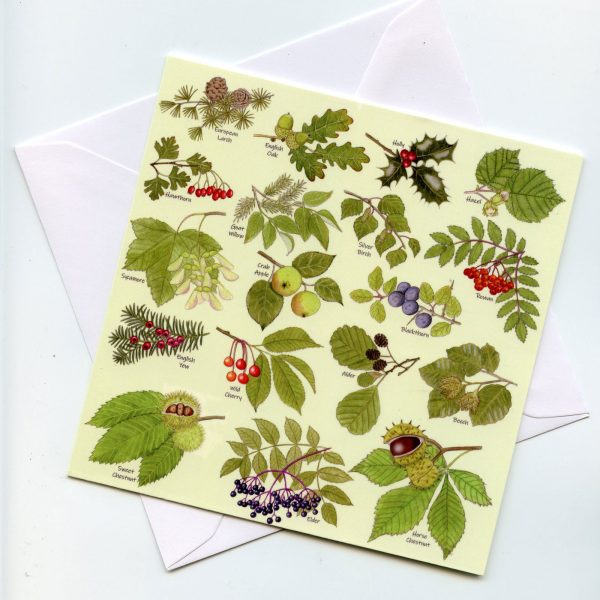 Tree-Leaves-Greetings-Card