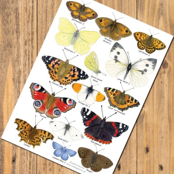 A5-Garden-Butterflies-postcard