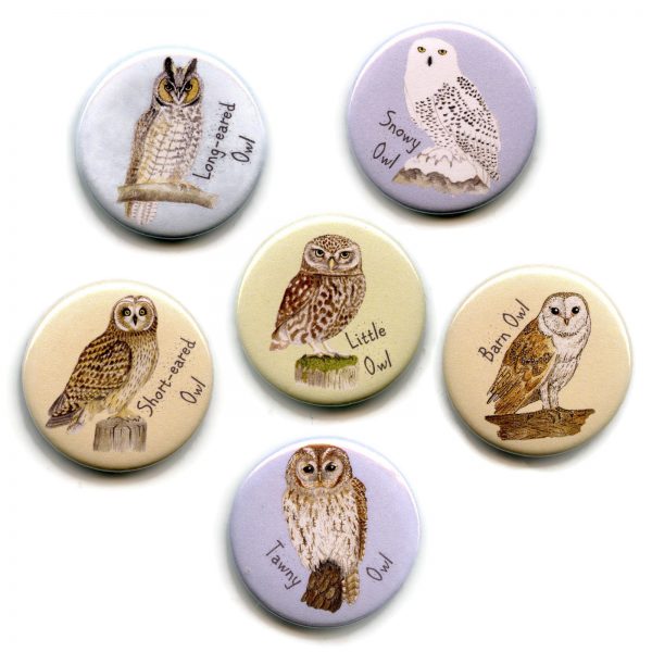 Set-of-owl-magnets