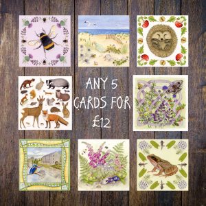 5-greetings-cards-for-12-pounds-offer pack