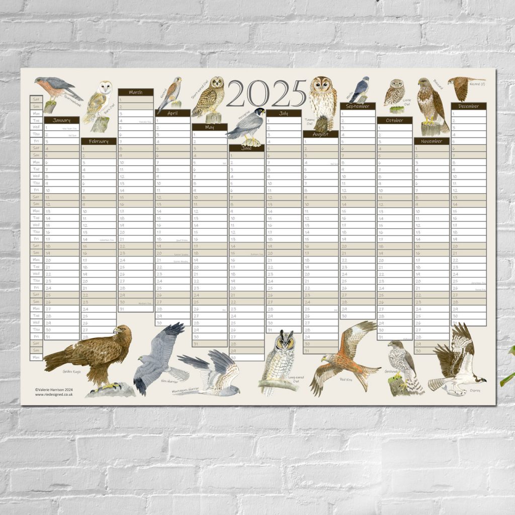 Wall Chart 2025 