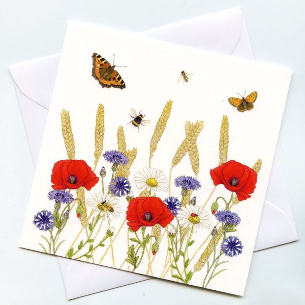 cornfield wild flowers greetings card