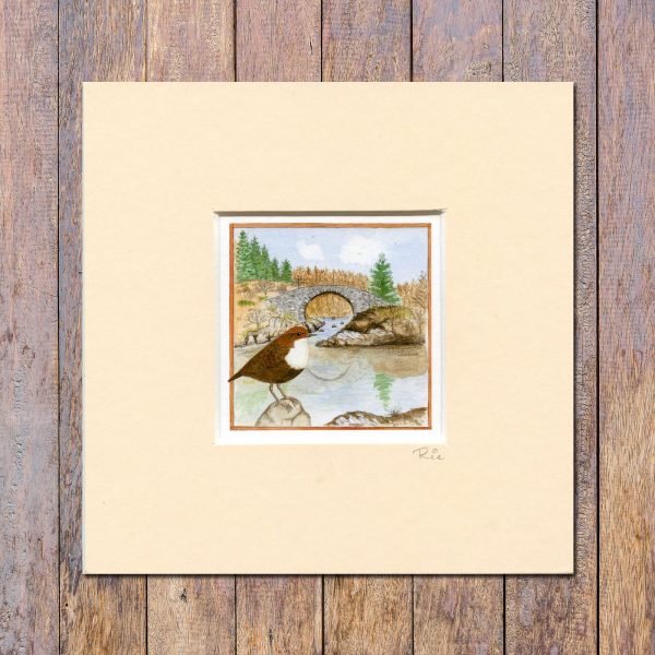 Dipper Roman Bridge Galloway Forest Park Mounted Mini Giclée Print