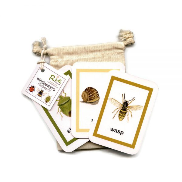 Minibeast-Insect Flashcards