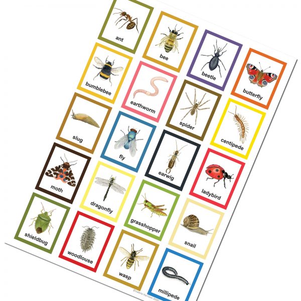 Minibeast childrens insect poster