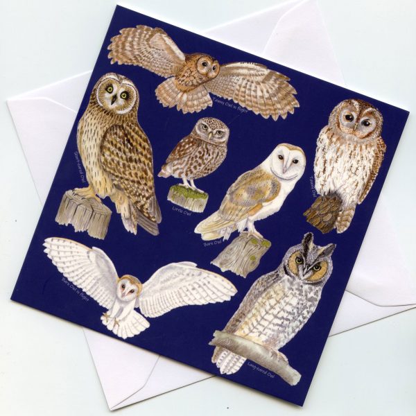 British owls greetings card