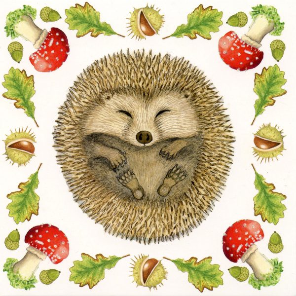 Hedgehog greetings card