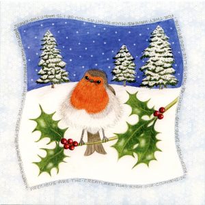 Snowy Robin Christmas Card