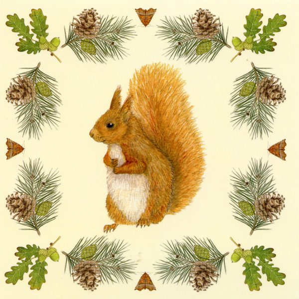 red squirrel greetings card