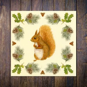 red squirrel greetings card