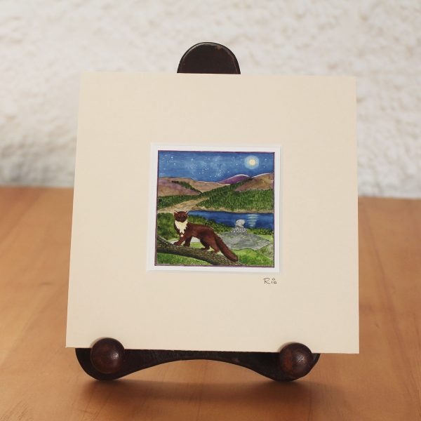Pine Marten Glentrool Mounted Mini Giclée Print