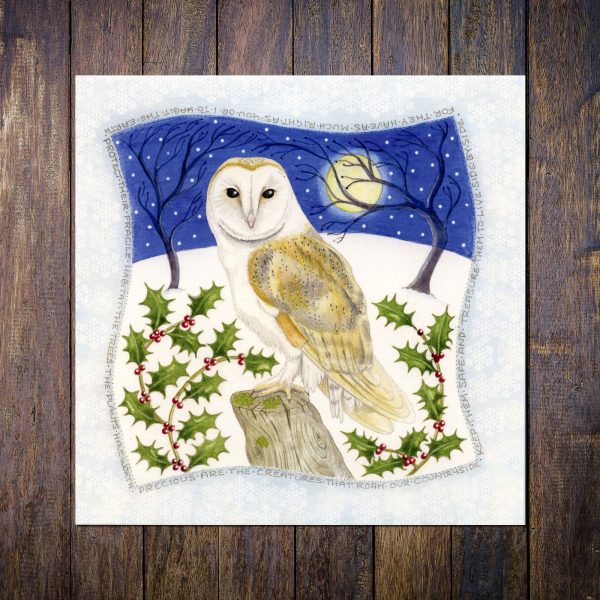 Snowy Barn Owl Christmas Card