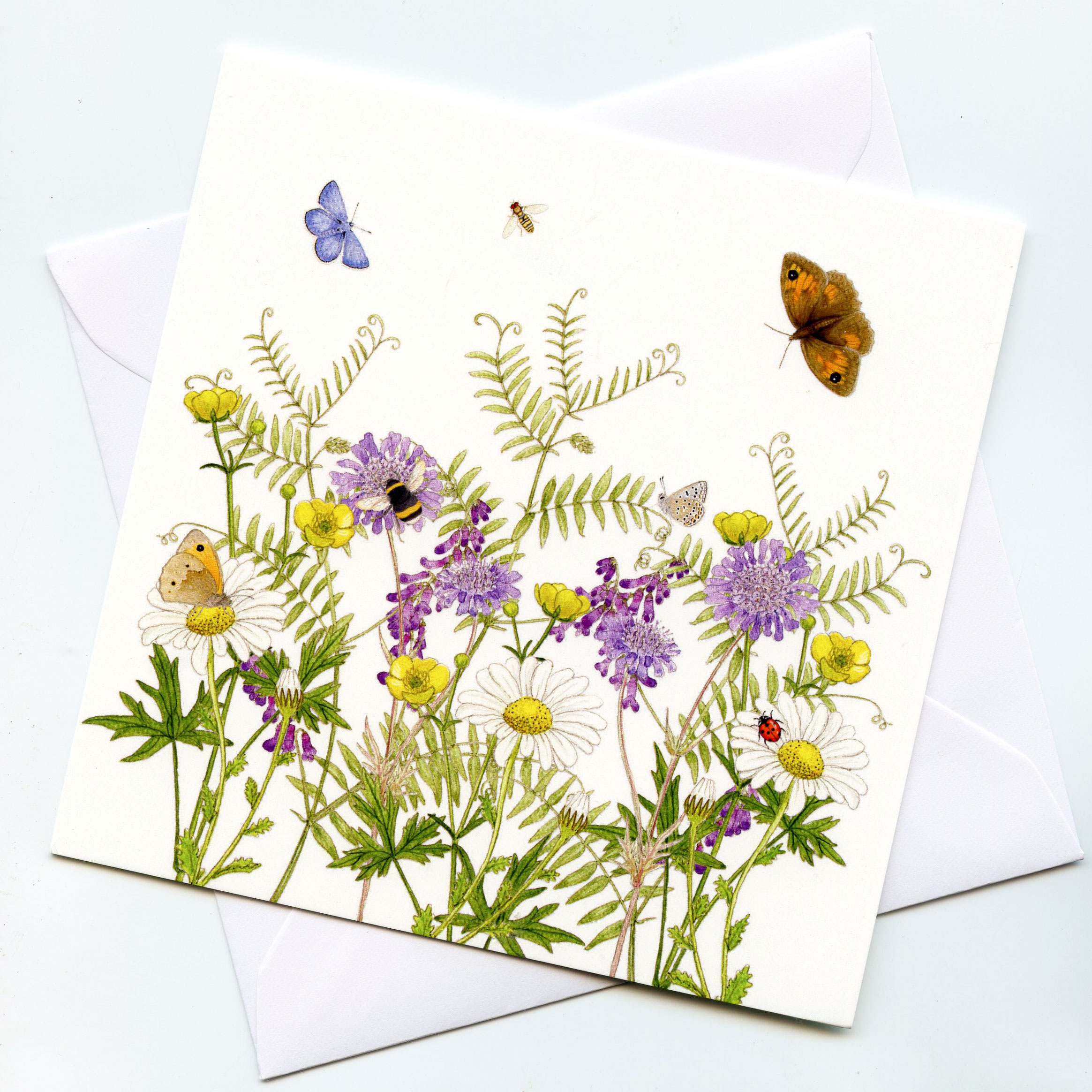 Wildflower Meadow Greeting Card Flowers