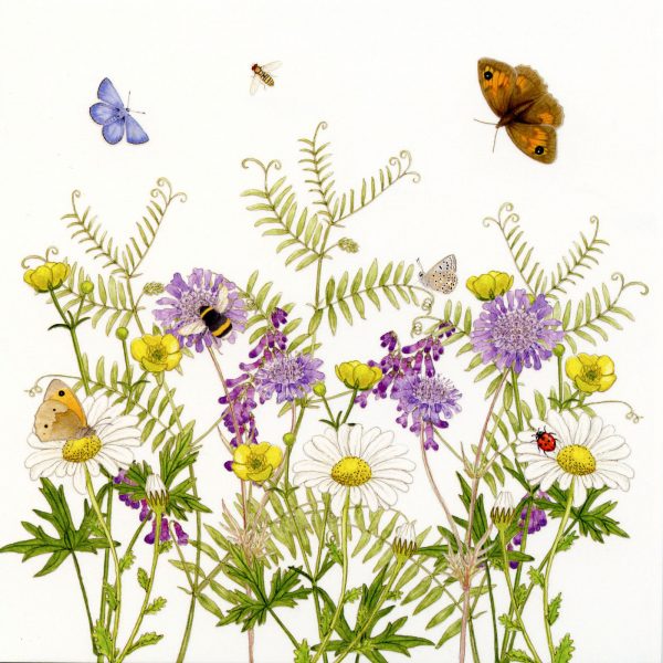 wildflower meadow greetings card